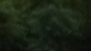 Asesinan a modelo excandidata a Miss Ecuador, la relacionaban con narcotraficante