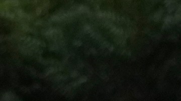 Asesinan a modelo excandidata a Miss Ecuador, la relacionaban con narcotraficante