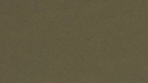 Joe Biden y Kamala Harris son los candidatos demócratas a la reelección en 2024.