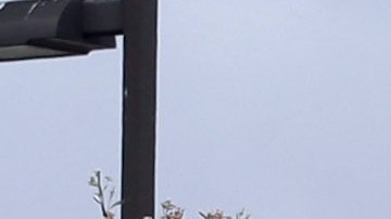 Un infante de marina murió durante operación militar de rutina en Camp Pendleton