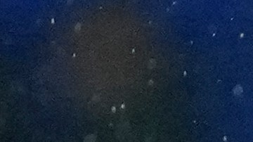 El mediocampista mexicano Edson Álvarez regresó al once titular del West Ham y se mantuvo en cancha durante los 90 minutos.