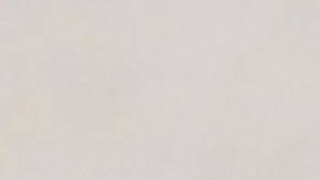 Biden y Harris enfrentan dificultades para que voten por ellos en las elecciones en Alabama.