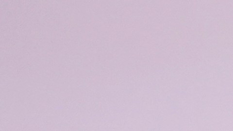 Zendaya aseguró que el coordinador de intimidad en Challengers fue muy útil