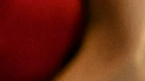 México acudirá el lunes ante la Corte Internacional de Justicia por asalto de Ecuador