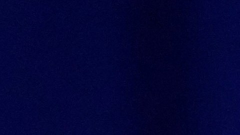 Biden busca arrebatar Florida a Trump e inicia trabajo de campaña