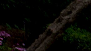 Police tape blocks a street in front of a property belonging to Sean "Diddy" Combs on Monday, March 25, 2024, in Los Angeles. Two properties belonging to Combs in Los Angeles and Miami were searched Monday by federal Homeland Security Investigations agents and other law enforcement as part of an ongoing sex trafficking investigation by federal authorities in New York, two law enforcement officials told The Associated Press. (AP Photo/Eric Thayer)