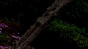 Police tape blocks a street in front of a property belonging to Sean "Diddy" Combs on Monday, March 25, 2024, in Los Angeles. Two properties belonging to Combs in Los Angeles and Miami were searched Monday by federal Homeland Security Investigations agents and other law enforcement as part of an ongoing sex trafficking investigation by federal authorities in New York, two law enforcement officials told The Associated Press. (AP Photo/Eric Thayer)