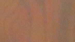 Alcalde de Atlantic City y su esposa niegan haber golpeado y abusado emocionalmente a su hija