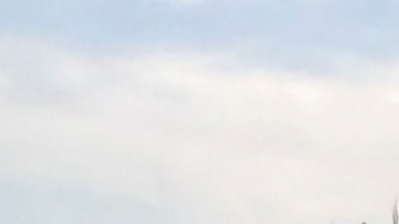 El mundo es testigo del primer genocidio mostrado en tiempo real por sus víctimas: Relatoras de la ONU