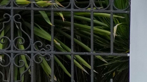 Gobierno de México acusa espionaje de Ecuador en su embajada de Quito; alista denuncia penal
