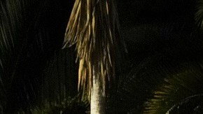 El 5 de abril, policías federales de Ecuador atacaron la Embajada de México en Ecuador.