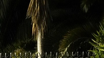 El 5 de abril, policías federales de Ecuador atacaron la Embajada de México en Ecuador.