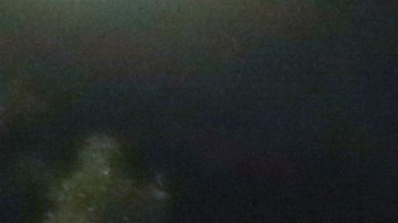 La policía de Ecuador entró por la fuerza en la Embajada de México en Quito el 5 de abril de 2024.