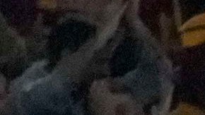 Roma's Gianluca Mancini celebrates at the end of a Serie A soccer match between Roma and Lazio, at Stadio Olimpico, in Rome, Italy, Saturday, April 6, 2024. (AP Photo/Gregorio Borgia)