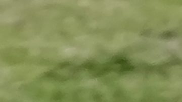 Red Bull driver Max Verstappen of the Netherlands steers his car during the Japanese Formula One Grand Prix at the Suzuka Circuit in Suzuka, central Japan, Sunday, April 7, 2024. (AP Photo/Hiro Komae)