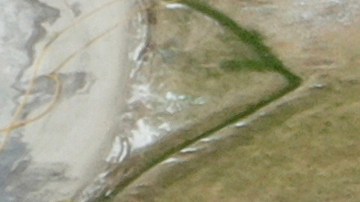 Norfolk Southern ofrece pagar $600 millones ante demanda colectiva por descarrilamiento de tren en Ohio