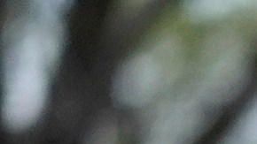 EE.UU. y Japón anuncian el mayor fortalecimiento en su alianza militar en 65 años con el foco en China