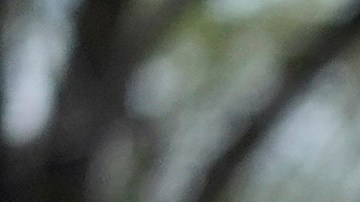 EE.UU. y Japón anuncian el mayor fortalecimiento en su alianza militar en 65 años con el foco en China