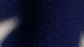 El expresidente Donald Trump realizó un evento conjunto con el presidente de la Cámara Mike Johnson en Florida.