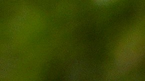 Defensores del derecho al aborto en Arizona se han mantenido protestando frente al Capitolio estatal.