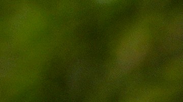 Defensores del derecho al aborto en Arizona se han mantenido protestando frente al Capitolio estatal.