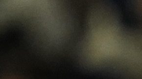 Pep Guardiola, DT del Manchester City.