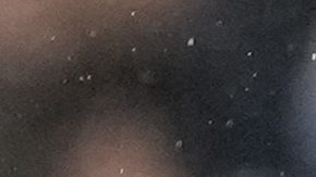 Xabi Alonso, entrenador del Bayer Leverkusen.