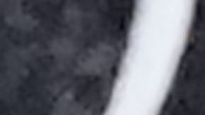 Barcelona's goalkeeper Marc-Andre ter Stegen reacts as he fails to save the ball while Real Madrid's Vinicius Junior celebrates scoring his side's opening goal during the Spanish La Liga soccer match between Real Madrid and Barcelona at the Santiago Bernabeu stadium in Madrid, Spain, Sunday, April 21, 2024. (AP Photo/Manu Fernandez)