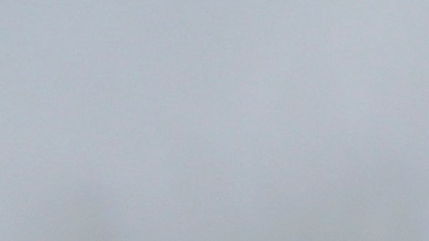 En medio de enfrentamientos con policía, gobernador de Texas dice que estudiantes propalestinos deben ir a la cárcel