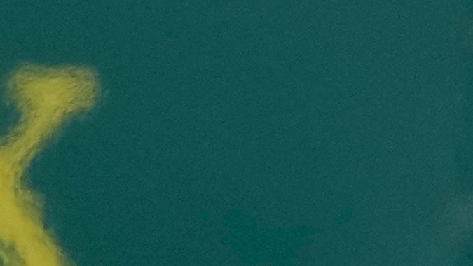 A pesar de las polémicas que se han vivido dentro de Red Bull el neerlandés Max Verstappen se ha mantenido enfocado en seguir con su dominio en las pistas durante este 2024.