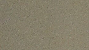 Joe Biden gana las primarias demócratas en Puerto Rico