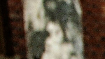 A University of Southern California protester is detained by USC Department of Public Safety officers during a pro-Palestinian occupation at the campus' Alumni Park on Wednesday, April 24, 2024, in Los Angeles. (AP Photo/Richard Vogel)