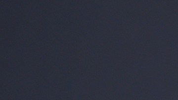 Nicole Kidman reveló la razón por la que no quiere ser directora de cine