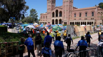 Tents fill an encampment staged to protest the Israel Hamas War on the UCLA campus, Monday, April 29, 2024, in Los Angeles. (AP Photo/Damian Dovarganes)