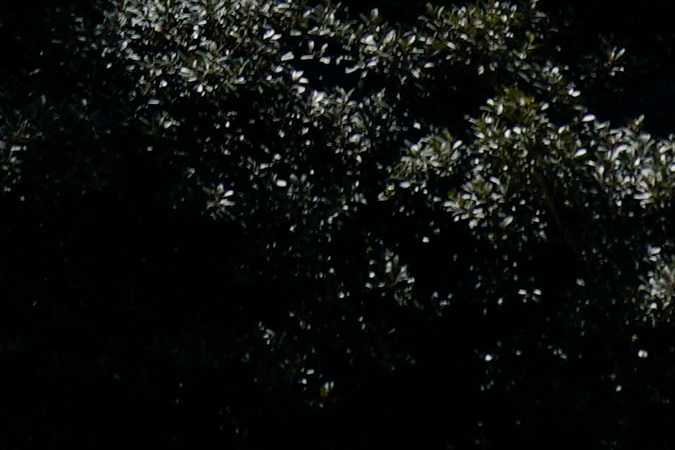 Signs are placed at an encampment staged to protest the Israel Hamas War on the UCLA campus, Monday, April 29, 2024, in Los Angeles. (AP Photo/Damian Dovarganes)