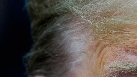 Trump reactivaría el programa “Permanecer México” y el “Título 42” para realizar deportaciones, revela Time