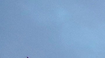 La Casa Blanca considera recibir como a algunos refugiados palestinos de Gaza