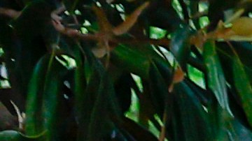 Tiroteo de Carolina del Norte ¿Quiénes son los cuatro policías que fueron asesinados?