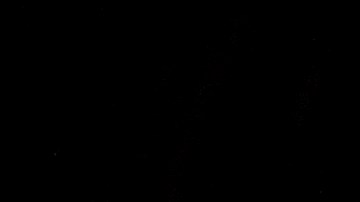 Agentes de NYPD suben a un autobús a los manifestantes arrestados en la Universidad de Columbia.