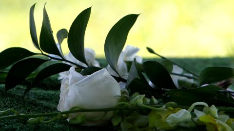 A white rose rests on the grave of Cooper Harris at the Tuscaloosa Memorial Park Cemetery on Saturday, June 28, 2014, in Tuscaloosa, Ala. (AP Photo/Butch Dill)