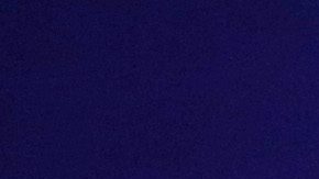 Floyd Mayweather Jr.