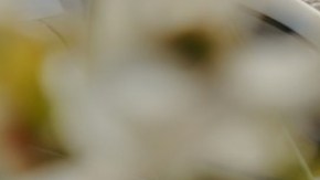 BMW Vision Neue Klasse