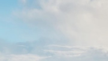 BMW Z4 Pure Impulse Edition. Crédito fotográfico: BMW