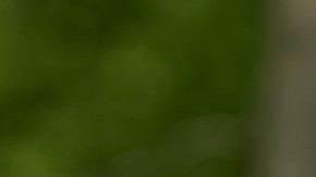 Bernie Sanders, senador de Vermont