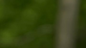 Bernie Sanders, senador de Vermont