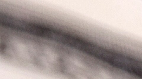 Billetes de $2 dólares