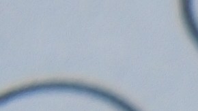 reducir la jornada laboral y mejorar la productividad en Latinoamérica