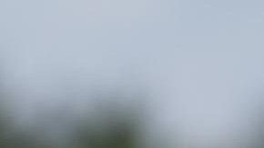 Donald Trump, expresidente de la nación