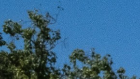 Jennifer Delgado (i), Andrew Areola y Alistaire Roleda ven el eclipse solar afuera del Centro de Ciencias de California en Los Ángeles.