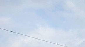 Un muerto y cuatro heridos tras tiroteo en una cafetería de Nashville el domingo de Pascua